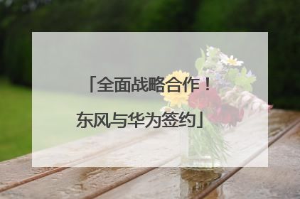 全面战略合作！东风与华为签约